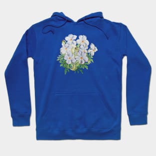 A Bouquet of Violets Vintage Botanical Illustration Hoodie